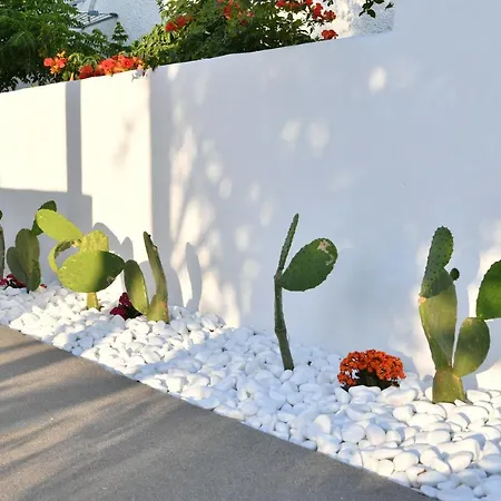 Apartment 21 Luxury *