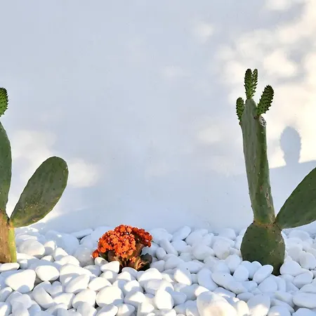 21 Luxury Naousa (Paros)