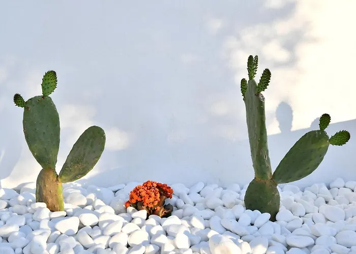 21 Luxury Νάουσα